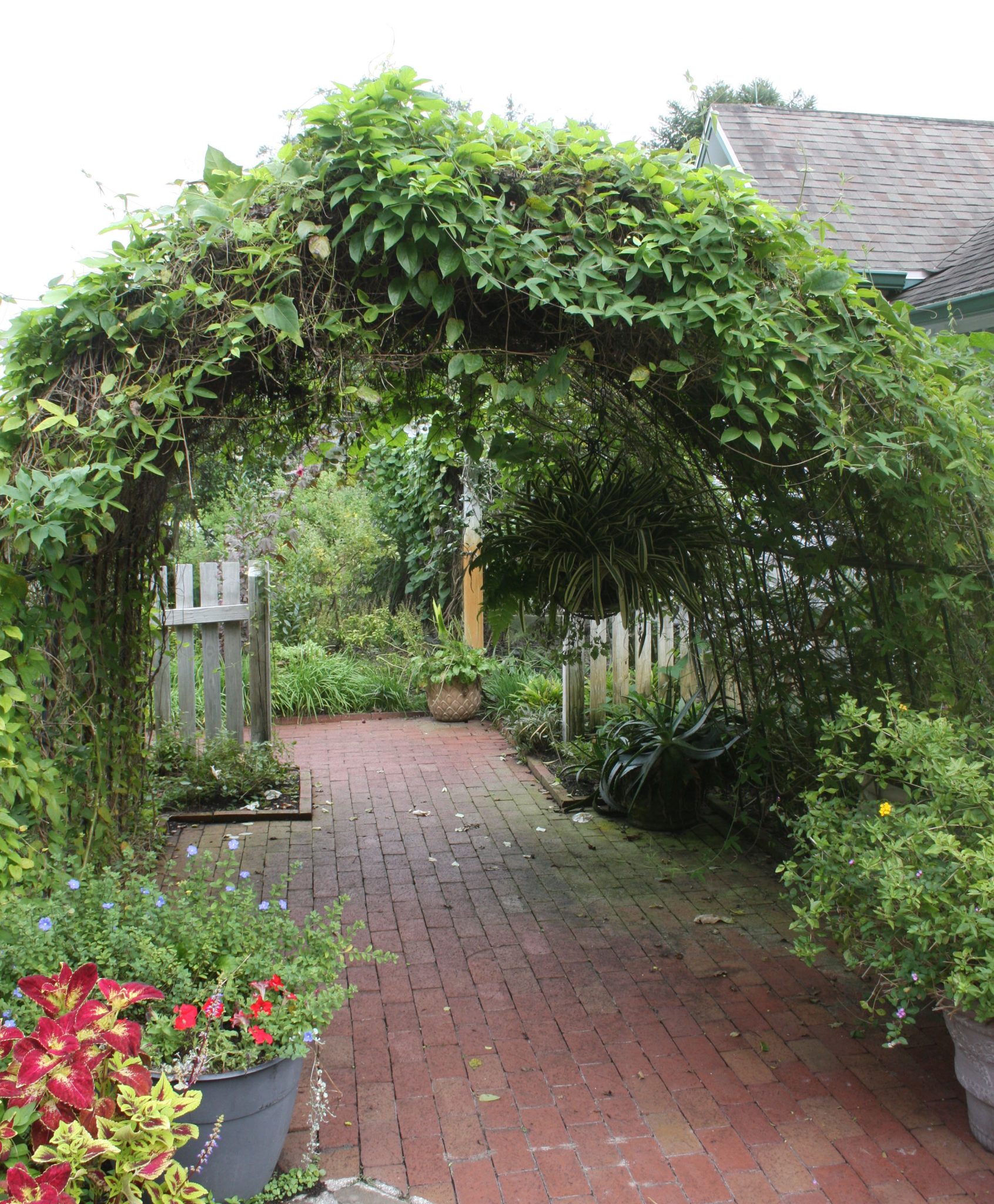 Butterfly Gardens Open In Florida Lucy Tobias